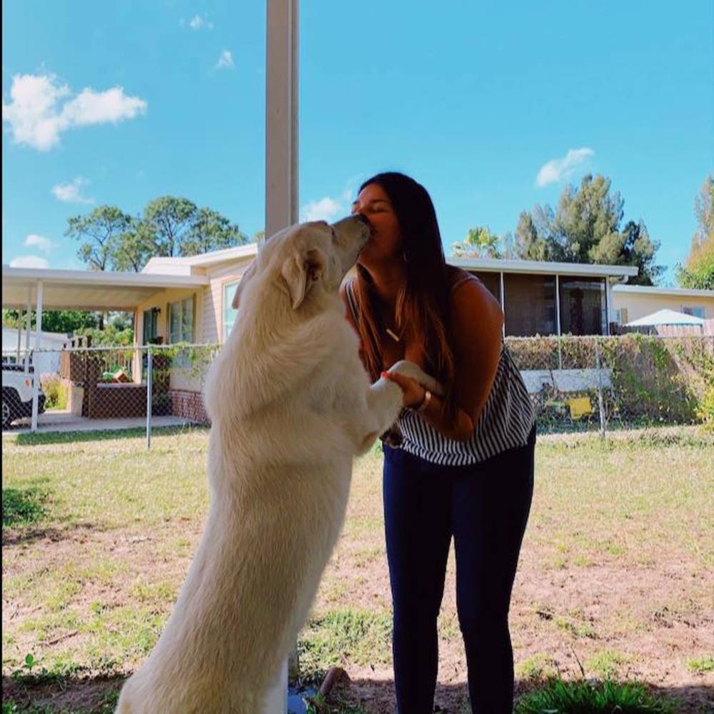 Meet your Posher, Angie